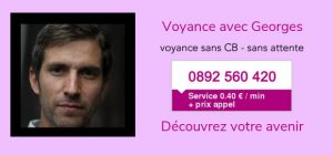 Le Voyant Georges