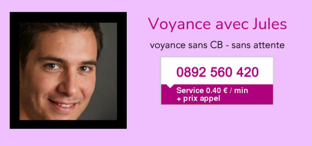 Le Voyant Jules